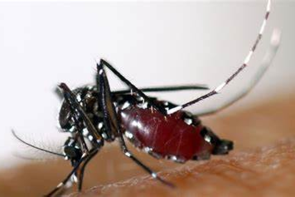 Le Brésil décrète l'état d'urgence contre la dengue à Sao Paulo